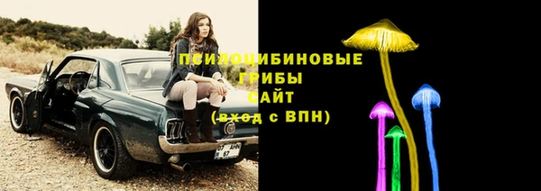гидропоника Осинники