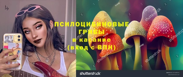 гидропоника Осинники