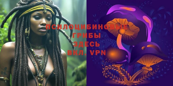 гидропоника Осинники