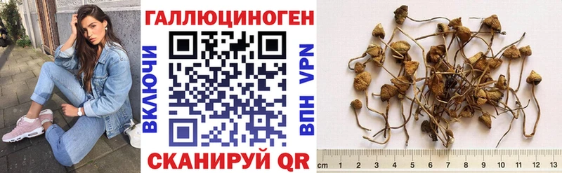 Псилоцибиновые грибы MAGIC MUSHROOMS блэк спрут tor Калач-на-Дону как найти закладки