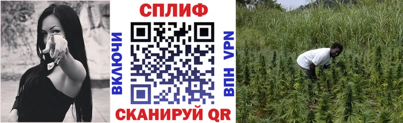 Канабис AK-47  Калач-на-Дону 